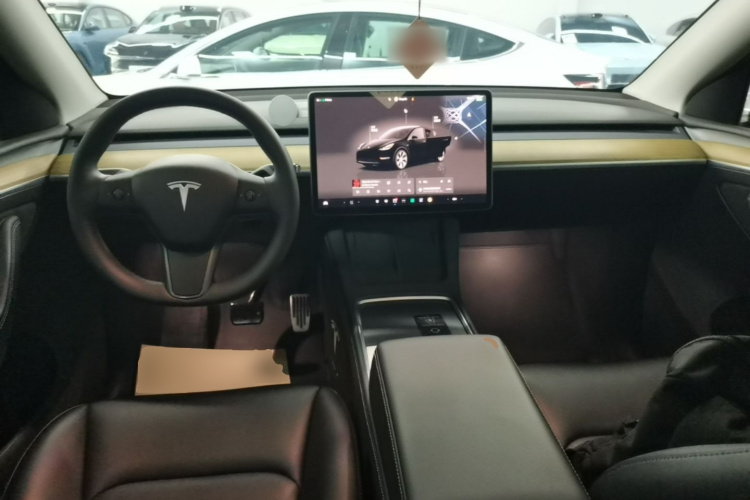 Tesla Model Y 2023 #10 Tesla Model Y 2023 car image #10
