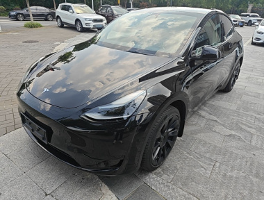 Tesla Model Y 2024 immagine di auto 