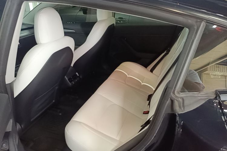 Tesla Model 3 2022 immagine di auto #13