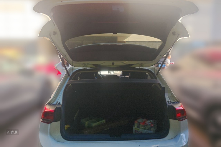 Volkswagen Golf 2021 car image #21