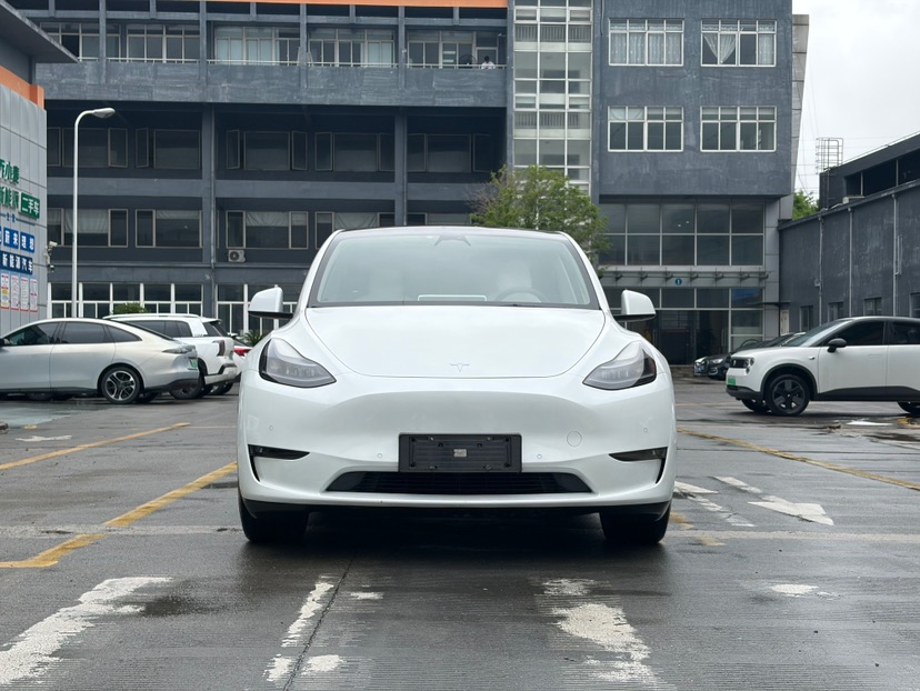 Tesla Model Y 2021 car image #2