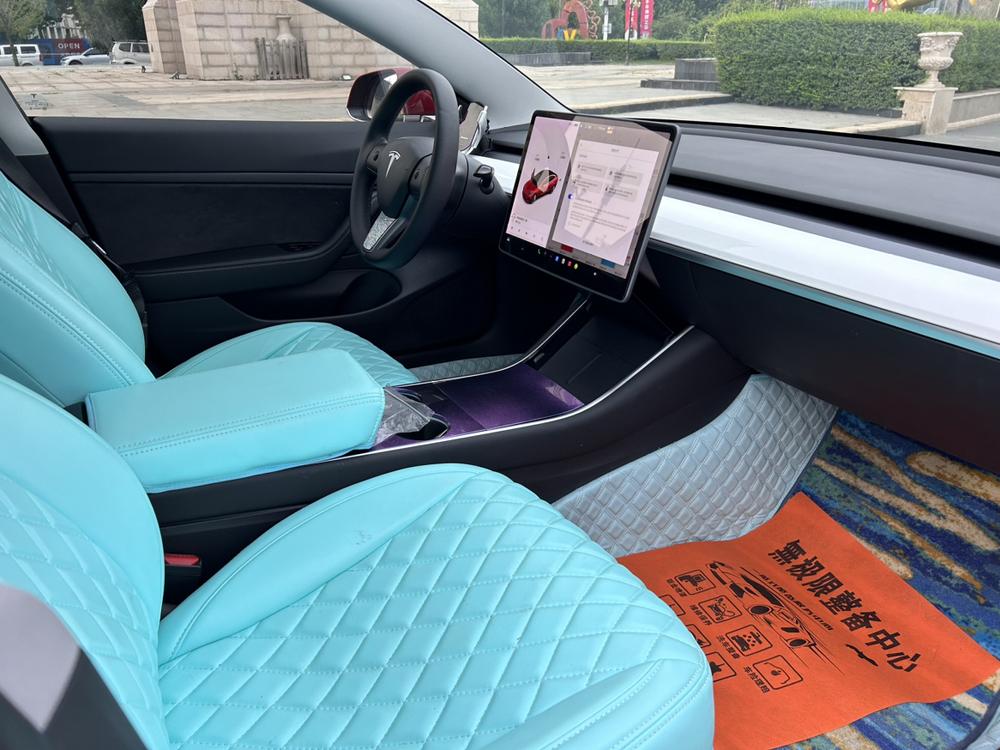 Tesla Model 3 2020 car image #8