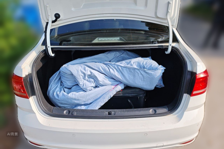 Volkswagen Lavida 2018 car image #21