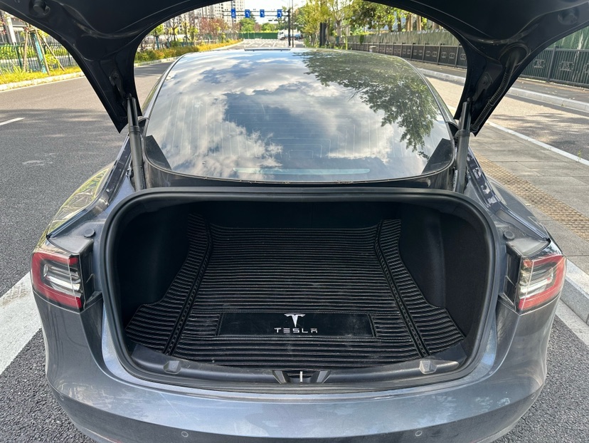 Tesla Model 3 2020 car image #8