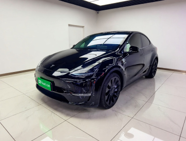 Tesla Model Y 2023 Tesla Model Y 2023 car image