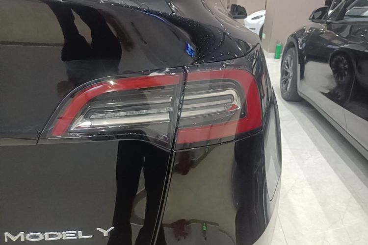 Tesla Model Y 2021 #8 Tesla Model Y 2021 car image #8