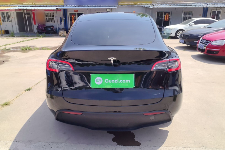 Tesla Model Y 2021 car image #6