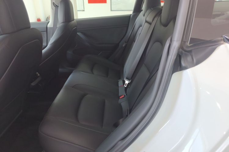 Tesla Model 3 2021 #17 Tesla Model 3 2021 car image #17