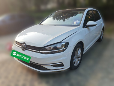 Volkswagen Golf 2019 Volkswagen Golf 2019 car image
