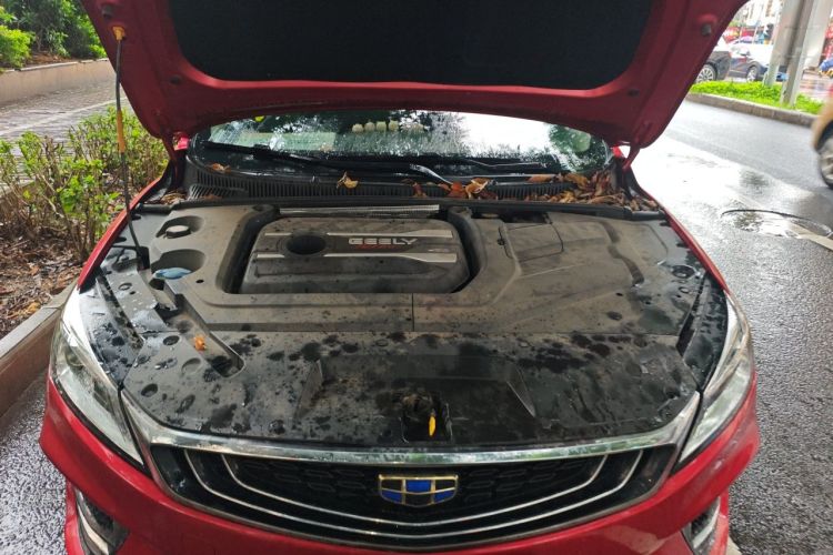 GEELY Binray 2019 #22 GEELY Binray 2019 car image #22