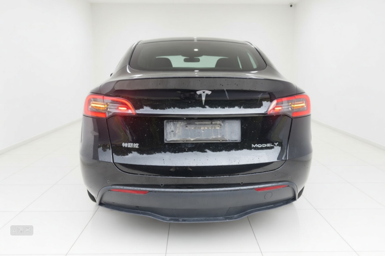 Tesla Model Y 2023 #6 Tesla Model Y 2023 car image #6