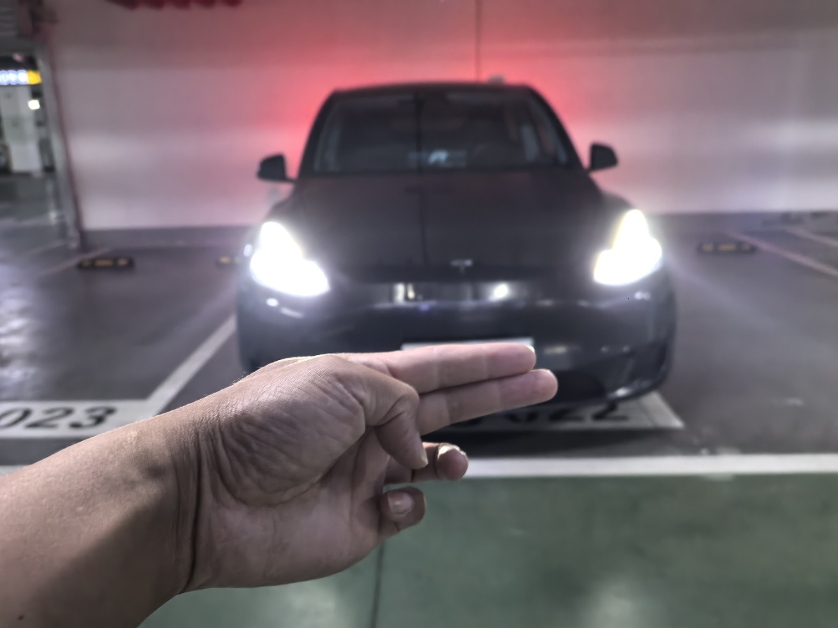 Tesla Model Y 2024 #2 Tesla Model Y 2024 car image #2