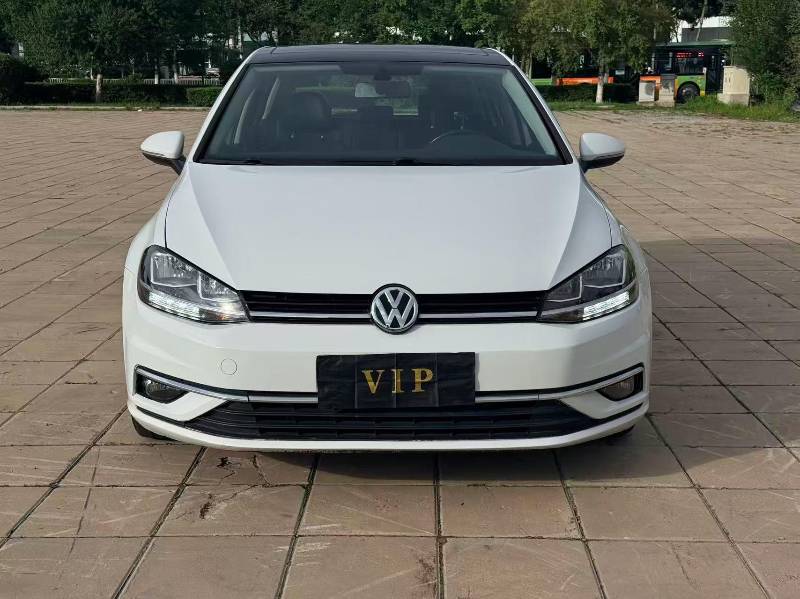 Volkswagen Golf 2019 #2 Volkswagen Golf 2019 car image #2
