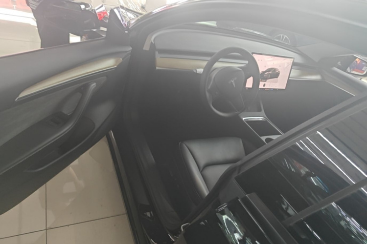 Tesla Model 3 2022 immagine di auto #16