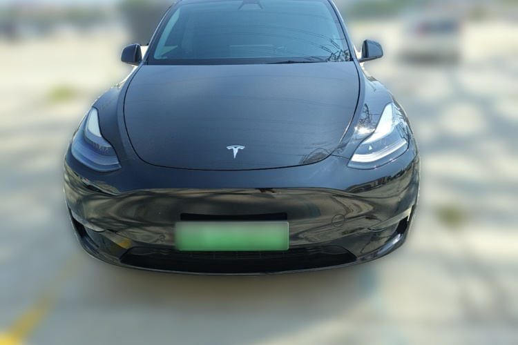 Tesla Model Y 2021 #3 Tesla Model Y 2021 car image #3