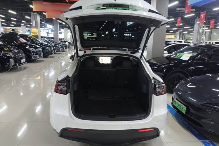 Tesla Model Y 2022 #19 Tesla Model Y 2022 car image #19