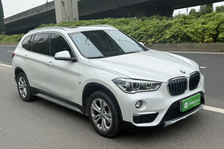 BMW X1 New Energy 2019 car image #11
