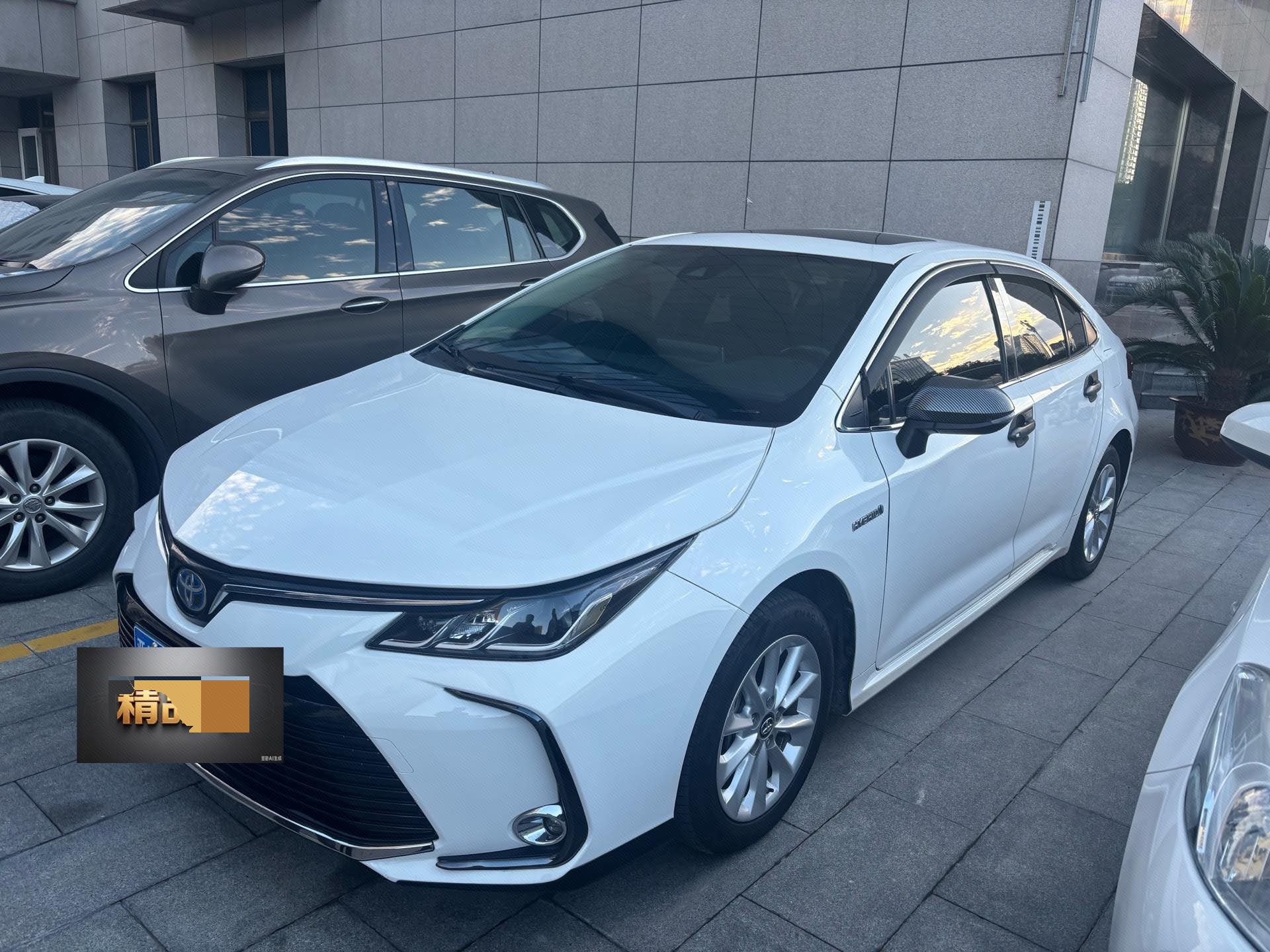 Toyota Corolla 2022 Toyota Corolla 2022 car image