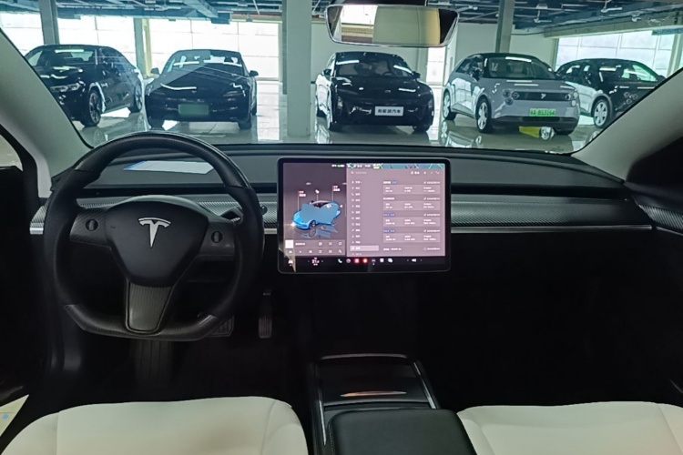 Tesla Model 3 2022 immagine di auto #11