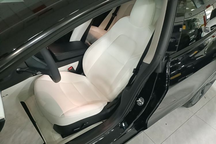 Tesla Model 3 2023 car image #15