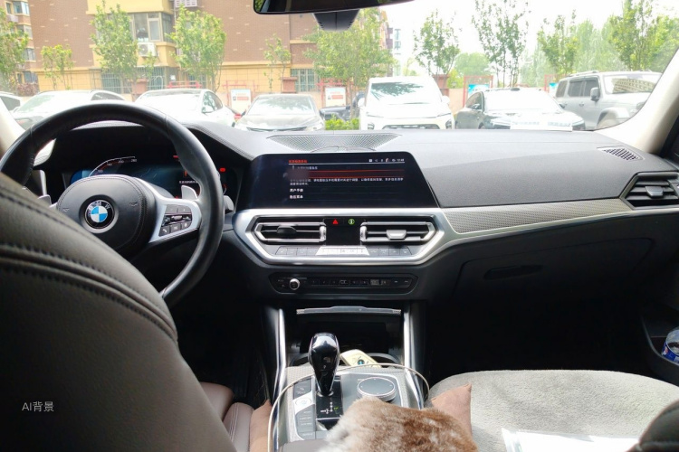 BMW 3 Series 2021 car image #11