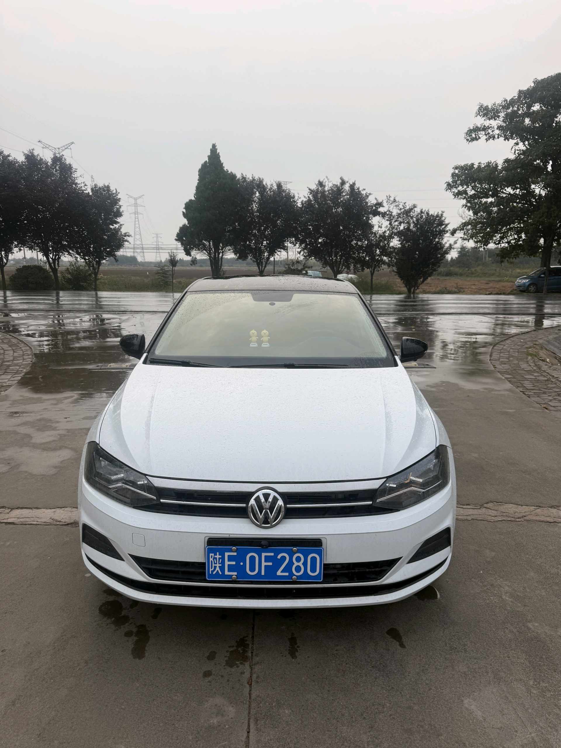 Volkswagen Polo 2023 immagine di auto #2