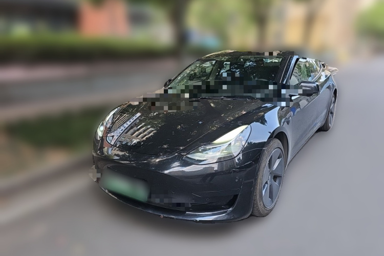 Tesla Model 3 2021 immagine di auto #2