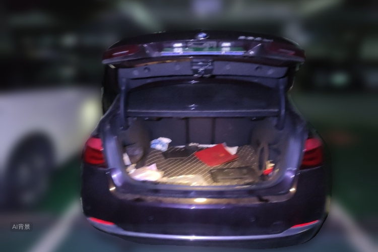 BMW 3 Series 2016 car image #21