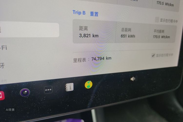 Tesla Model 3 2020 صورة سيارة #14