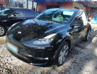 Tesla Model Y 2022 Tesla Model Y 2022 car image