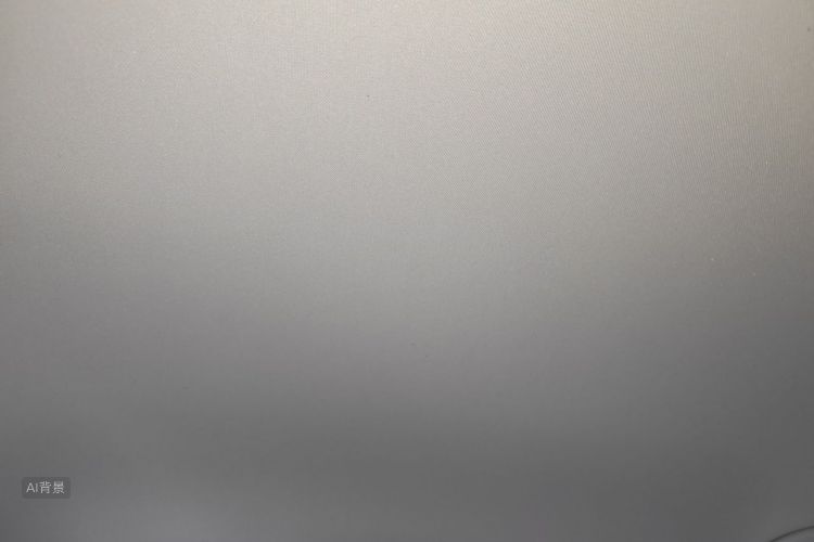 Volkswagen Bora 2021 car image #20
