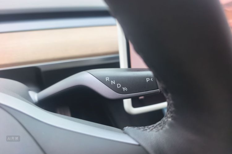 Tesla Model 3 2021 car image #16