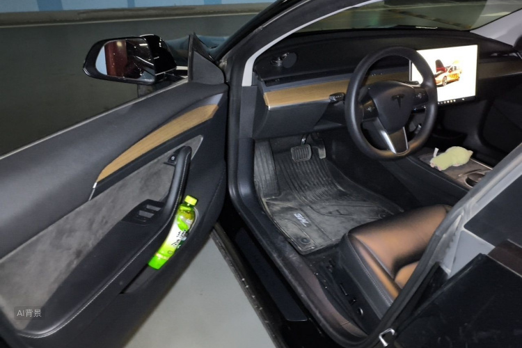 Tesla Model 3 2023 car image #18