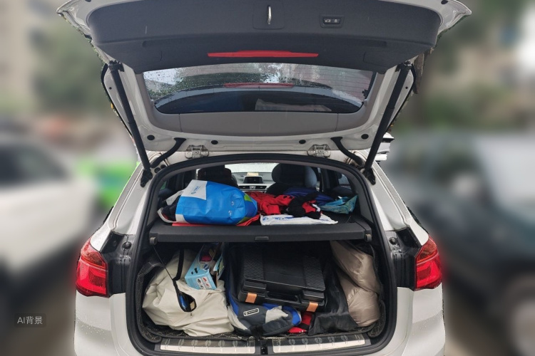 BMW X1 2019 car image #21