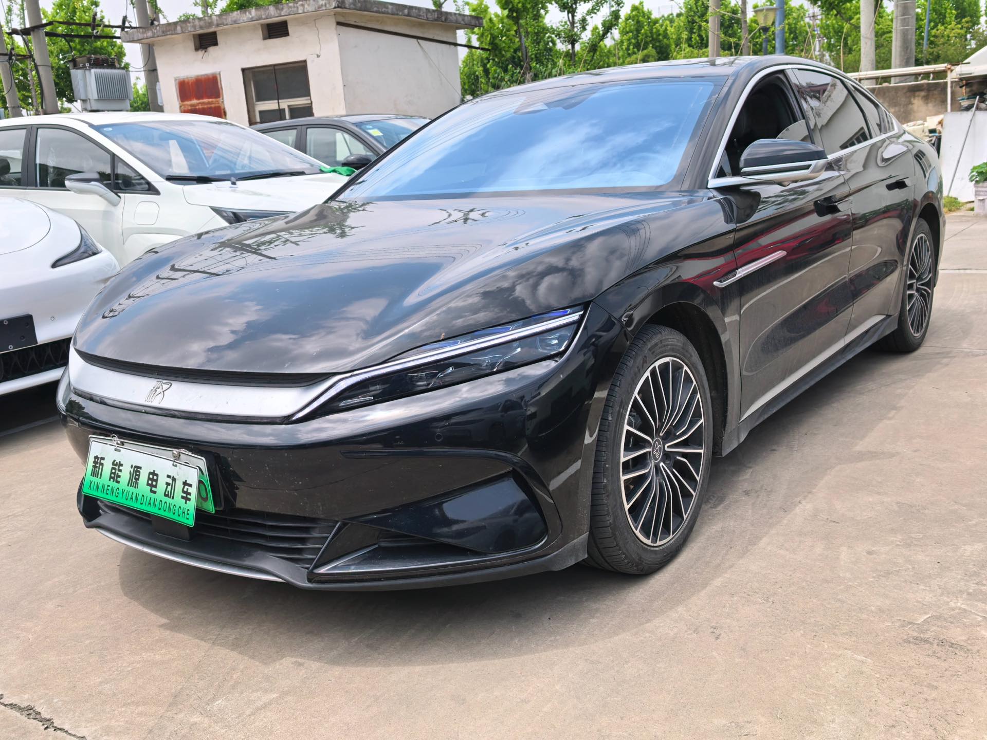 BYD Han 2024 car image 