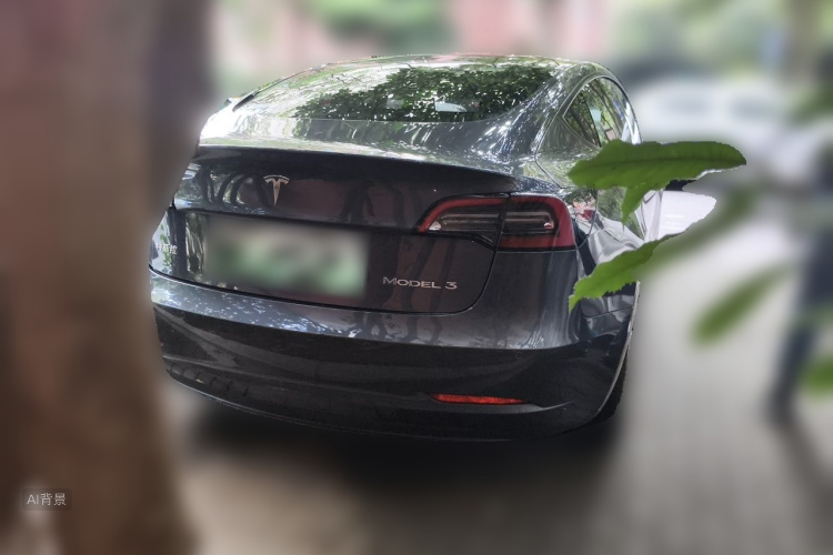 Tesla Model 3 2021 car image #6