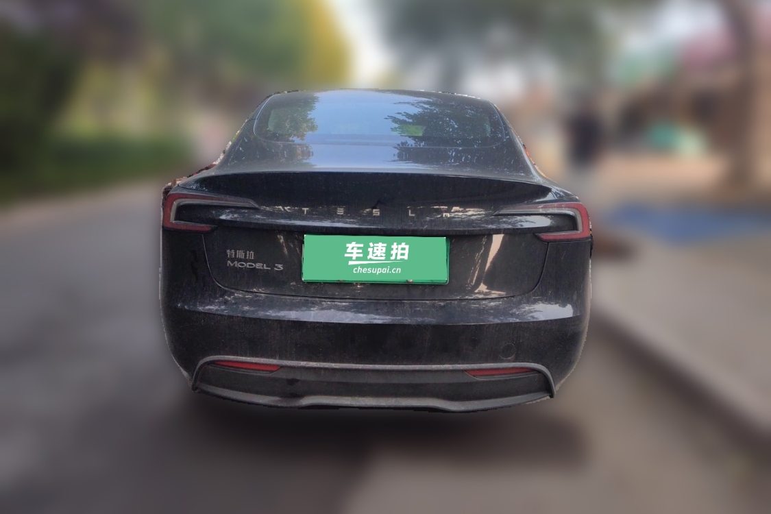 Tesla Model 3 2023 car image #6