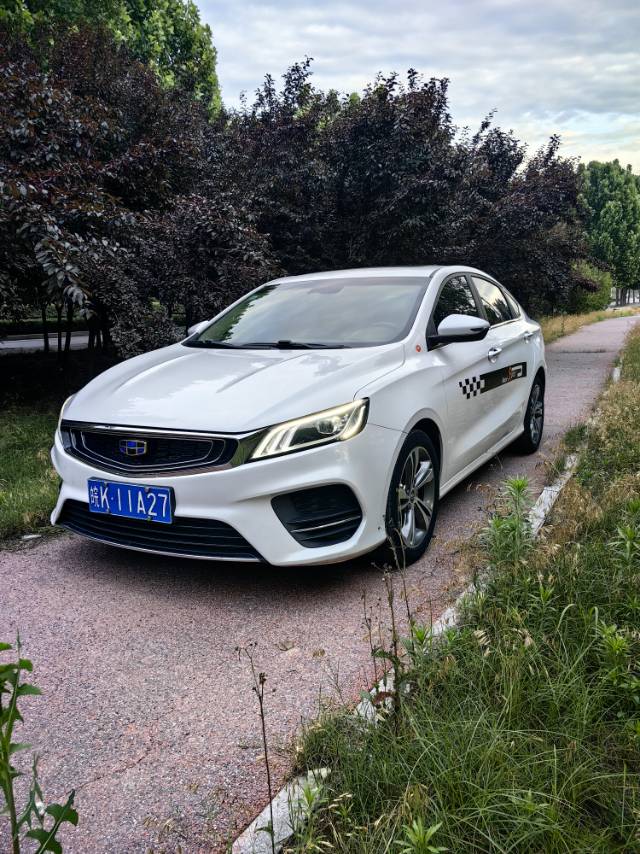 GEELY Binray 2019 GEELY Binray 2019 image de voiture