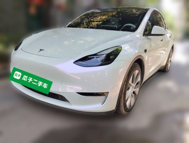 Tesla Model Y 2022 car image 