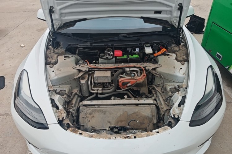 Tesla Model 3 2021 car image #20