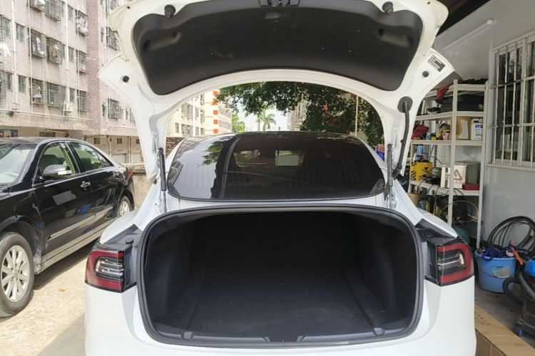 Tesla Model 3 2020 car image #19