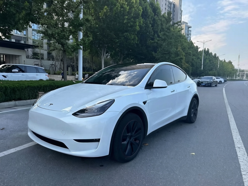 Tesla Model Y 2024 #2 Tesla Model Y 2024 car image #2