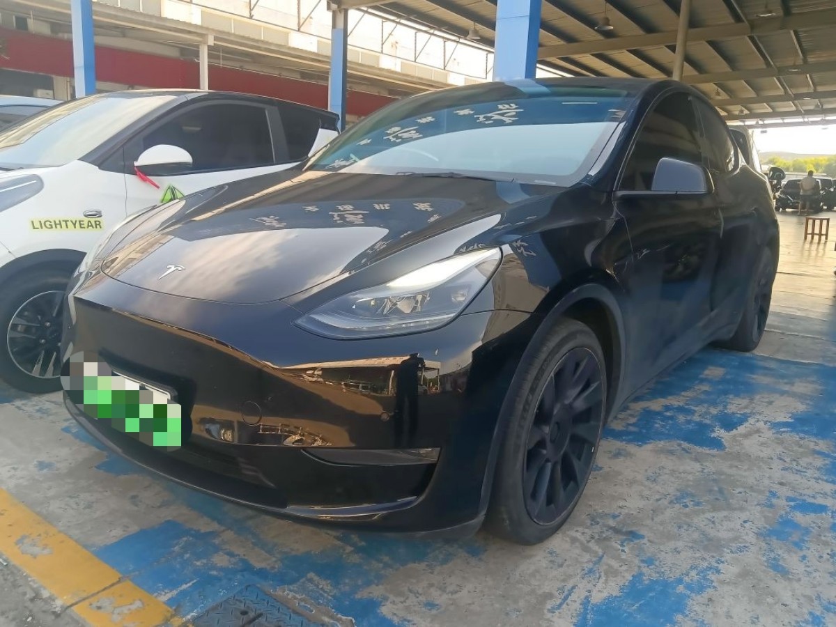 Tesla Model Y 2021 car image 