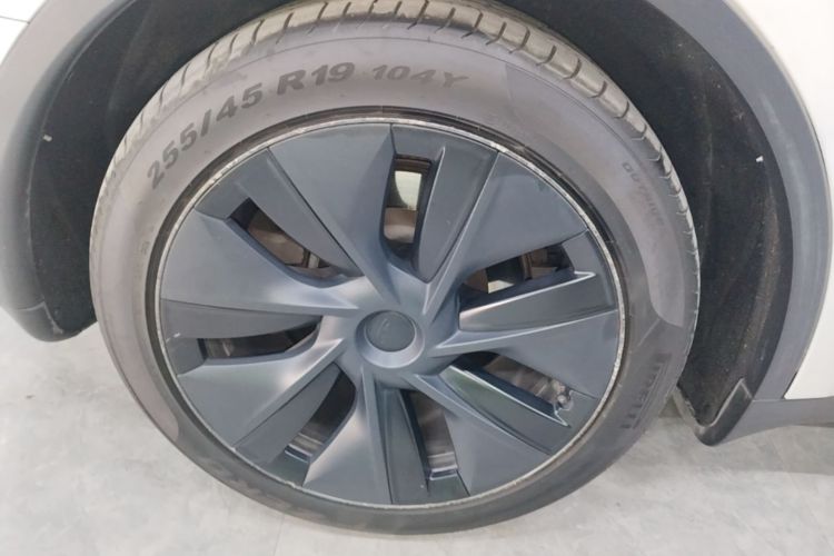 Tesla Model Y 2023 #10 Tesla Model Y 2023 car image #10