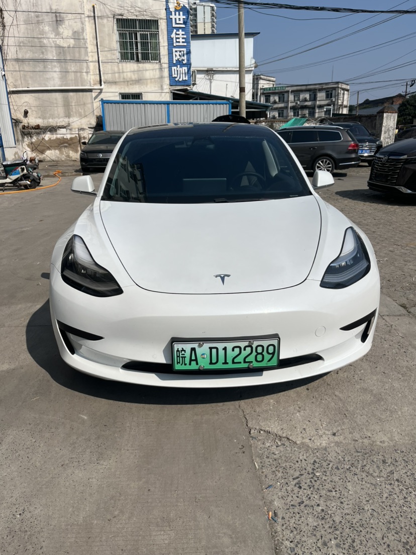 Tesla Model 3 2020 imagem de carro #2
