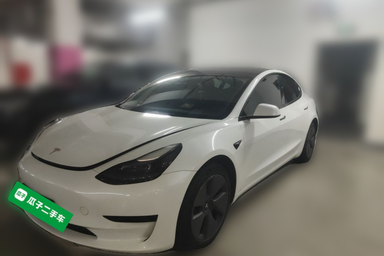 Tesla Model 3 2022 #2 Tesla Model 3 2022 car image #2