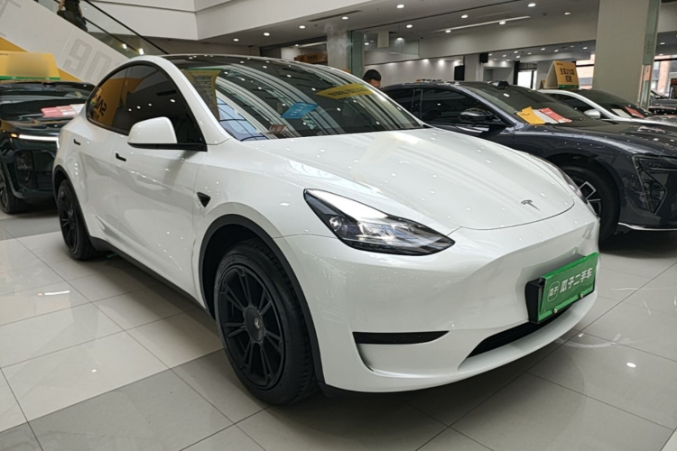 Tesla Model Y 2024 immagine di auto #4