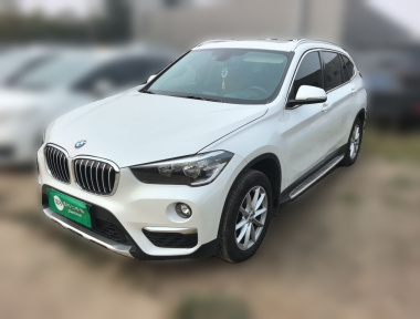 BMW X1 2019 car image 