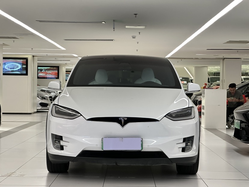 Tesla Model X 2017 car image #2
