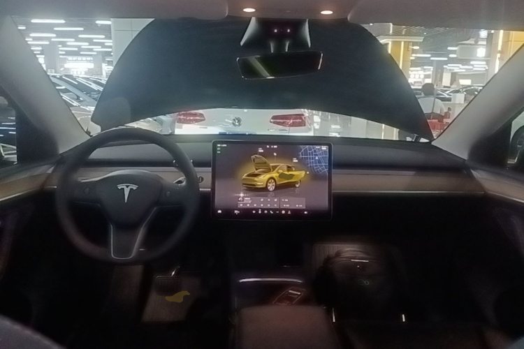 Tesla Model Y 2022 car image #10